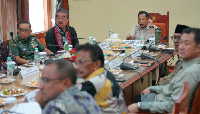 *Mendagri Apresiasi Provinsi Maluku Mampu Jaga Angka Inflasi Tetap Terkendali*