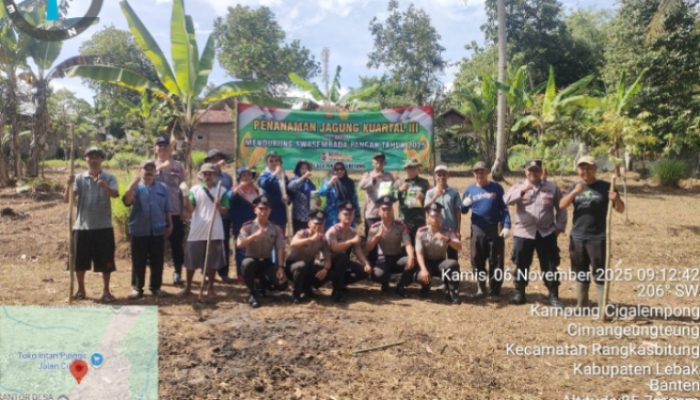Lewat Tanam Jagung, Polsek Rangkasbitung Polres Lebak Mendukung Program Ketahanan Pangan