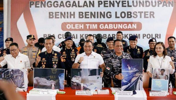 Bea Cukai Gagalkan Penyelundupan Benih Bening Lobster di Perairan Pulau Kongka Besar