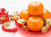 Sajian Wajib Saat Imlek, Jeruk Mandarin Terbukti Bermanfaat bagi Tubuh