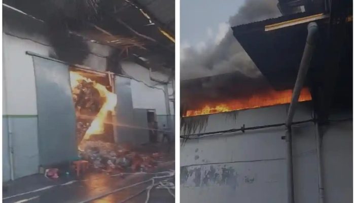 Gudang PT. Surya Pasifik di Cengkareng Terbakar, 12 Unit Damkar Dikerahkan