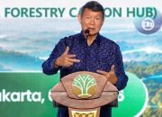 Utusan Khusus Presiden Hashim: Perdagangan Karbon Kehutanan Jadi Program Pemerintah Paling Cepat Direalisasikan
