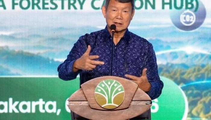 Utusan Khusus Presiden Hashim: Perdagangan Karbon Kehutanan Jadi Program Pemerintah Paling Cepat Direalisasikan