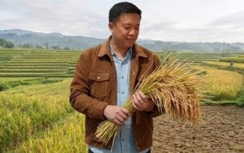 Peran Strategis Padigital Dalam Ketahanan Moneter Indonesia