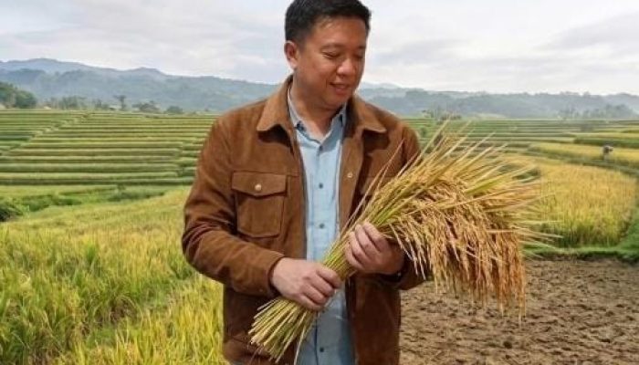 Peran Strategis Padigital Dalam Ketahanan Moneter Indonesia