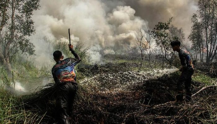 Tinjau Langsung Karhutla di Pontianak, Presiden Prabowo: “Saya Datang Lihat Keadaan Nyata”